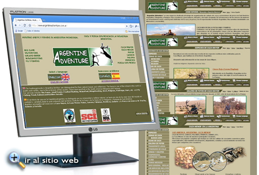 Ir al sitio web