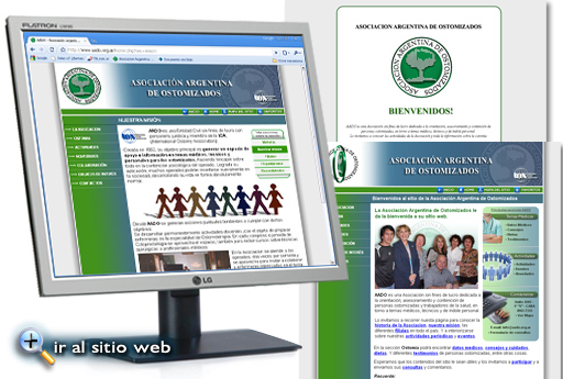 Ir al sitio web