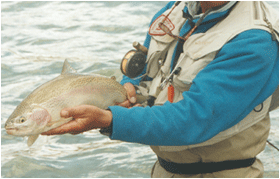 Fly Fishing - Enlarge pictures