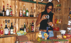 Ampliar Fotos - Caba&ntilde;as y Restaurante a orillas del R&iacute;o Espol&oacute;n - Patagonia Chile 