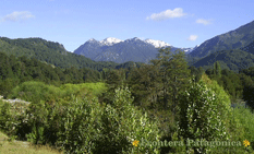 Ampliar Fotos - paisajes rupestres - Patagonia Chile 