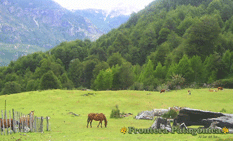 Ampliar Fotos - paisajes rupestres - Patagonia Chile 