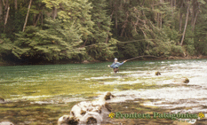 Ampliar Fotos - Pesca