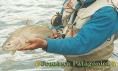 Ampliar Fotos - Pesca