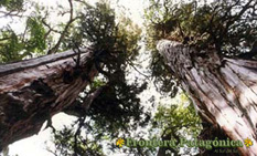 Ampliar Fotos Safaris Fotograficos