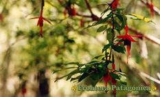 Ampliar Fotos Safaris Fotograficos