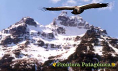 Ampliar Fotos Safaris Fotograficos