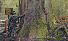 Ampliar Fotos - La ruta de los pioneros